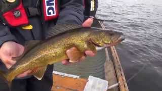 Casting Attractor Jigs for Walleye