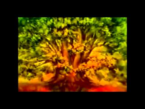 Syndafloden Video