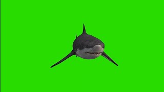 Megalodon Green Screen Effect 2020 Free To Use In Chroma Key Free To Download 360 View
