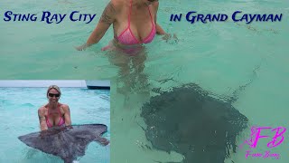Swimming with Stingrays at Stingray City Cayman Islands
