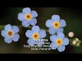 Asmaul Husna Opick images Asmaul Husna Opick