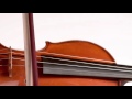 Slow Motion Orchestra: Violin