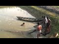 Fishing in Arif's fish farm, Nabigonj Bangladesh 6