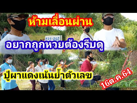 ห้ามเลื่อนผ่านอยากถูกหวยต้องดู ปู่ผาแดงย้ำแล้วย้ำอีก 16/10/64