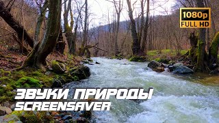 Живая Природа - Река | Звуки Природы | Звуки Реки | Шум Воды | Белый Шум | Релаксация | Антистресс