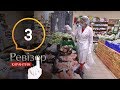 Ревизор. Карантин – Выпуск 3 от 30.04.2020