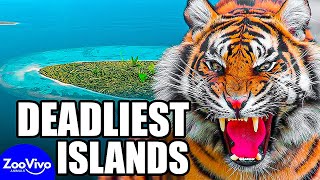 15 Deadliest Islands Based On Their Wildlife