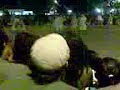 DANZA DE PLUMA DEL EJIDO LA PAZ, 17 DE JULIO DEL 2010