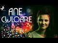 Ane