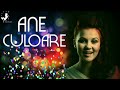 Ane