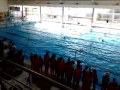 2015-02-08_Torneio de Natação 15.º aniversário da Palmela Desporto 2015-02-08_Torneio de Natação 15.º aniversário da Palmela Desporto