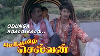 Senthamizh Selvan Video Songs Odunga Kaalaikala Msv - Ilayaraja Phoenix Music