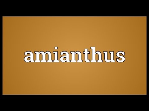 Header of amianthus