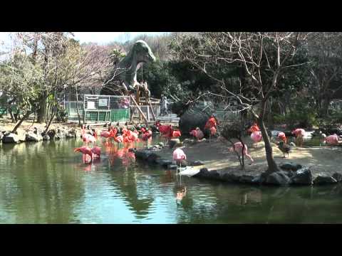 名古屋･東山動植物園の風景　2011／03／26