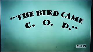 The Bird Came C.o.d 1942 Opening On Metv