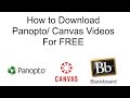 How To Download Panopto/ Canvas Videos (FREE)