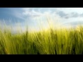 [HD] Sunny Lax - Reborn (Nitrous Oxide Remix)