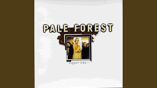 Watch Pale Forest Hurt Me video