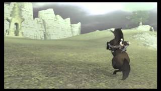 Walkthrough Fr L Shadow Of The Colossus L Trophée Cirque Dagro