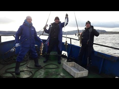 рыболовные базы в мурманской области баренцево море рыболовные базы в мурманской области баренцево море