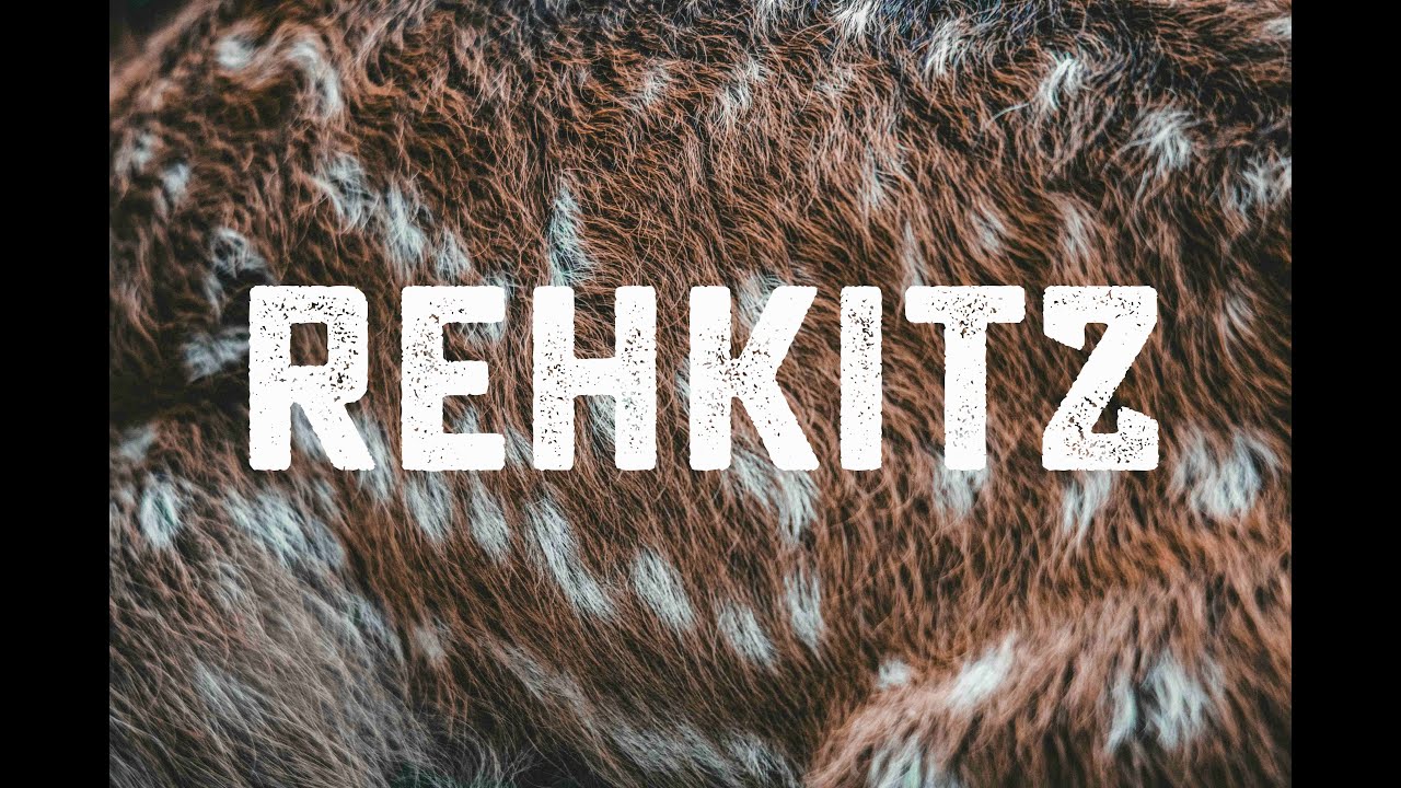Alle Videos