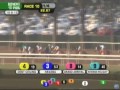 stakes