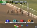 stakes