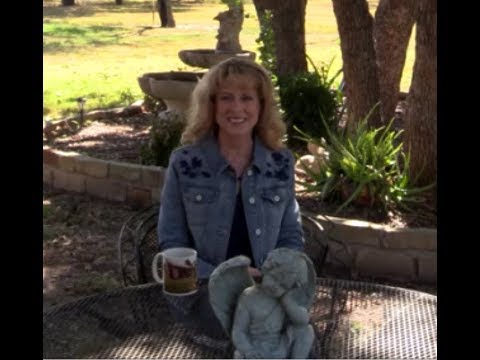 Episode Twenty-four Anniversary Edition of Series "What Love Means" with Heather Thomas Van Deren
