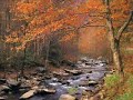 Count Your Blessings - Smokey... - Prayers & Religious ecards - Thanksgiving Greeting Cards Count Your Blessings - Smokey... - Prayers & Religious ecards - Thanksgiving Greeting Cards