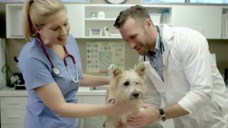 AVMA LIFE: Grads Disability Insurance (A Real Success Story)