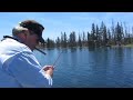 Yellowstone Lake,big red 5#Cutthroat trout