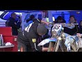 Championnat de france enduro Uzerche 2014