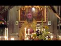 Orthodox Sermon - St. Luke of Simferopol