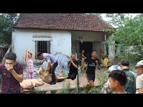 Cả Nhà Chọc Tiết Lợn Để Đãi Khách Tới Chơi, Xách Dao Ra Thì Tá Hỏa Nhìn Thấy