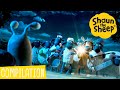Shaun the Sheep Season 6 | Episode Clips 17-20