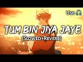 Tum Bin Jiya Jaye - Slowed and Reverb | Sanam Re | Shreya Ghoshal | Bhushan Kumar's | Text4Music