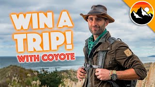 Win A Safari Adventure With Coyote!