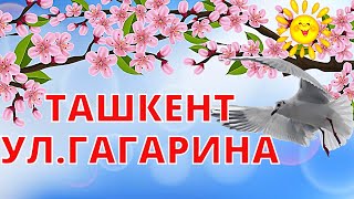 Ташкент Ул. Гагарина | Ностальгия По Ташкенту