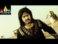 Shakti Movie Jr.NTR Introduction as Rudhra | Jr.NTR, Ileana | Sri Balaji Video