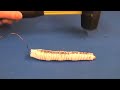 Autonomous robot