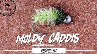 Tying a Moldy Caddis Pupa Trout Fly - Ep162 PF #piscatorFlies
