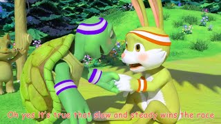 The Tortoise Help The Hare To Stand Effects Sparta Pitch Compilationsponsored Bypreview 2 Effects