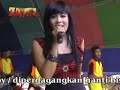 image Pantura Live In Muryolobo Melanggar Hukum Ratna M Part7