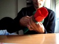 Rosa de papel