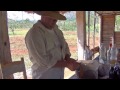 Cuba Reizen Reis Met Cuba Online images Cuba Reizen Reis Met Cuba Online