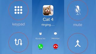 incoming call Cat fake call Prank For Kids/screen  recording/Waiting,Holding