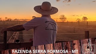 Um dia na Fazenda Serra Formosa - MT