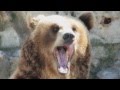 ZOOSAFARI Fasano - Full HD