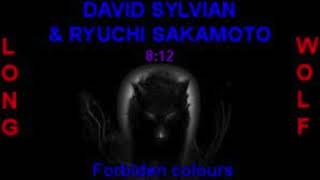 David Sylvian & Ryuichi Sakamoto Forbidden Colours Furyo Extended Wolf