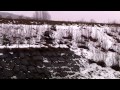 Tfa Presents We Trippy Snowboard Freestyle Party Full Movie